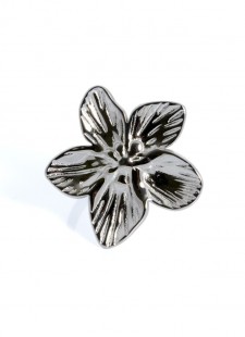 Mengual Concept Store