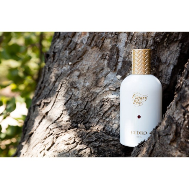 CAMPOS DE IBIZA Eau de toilette Cedro 100ml