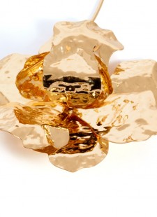 Mengual Concept Store