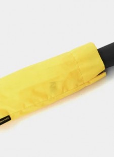 Mengual Concept Store